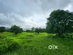 5lac/acre Land investment in lowest price ever