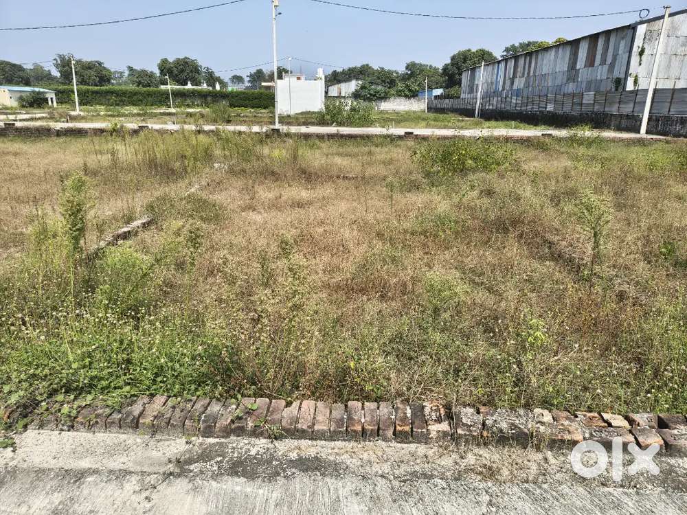 Urgent Plot for sale in daulatpur