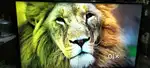 Haisense 55 inch 4k Android Tv