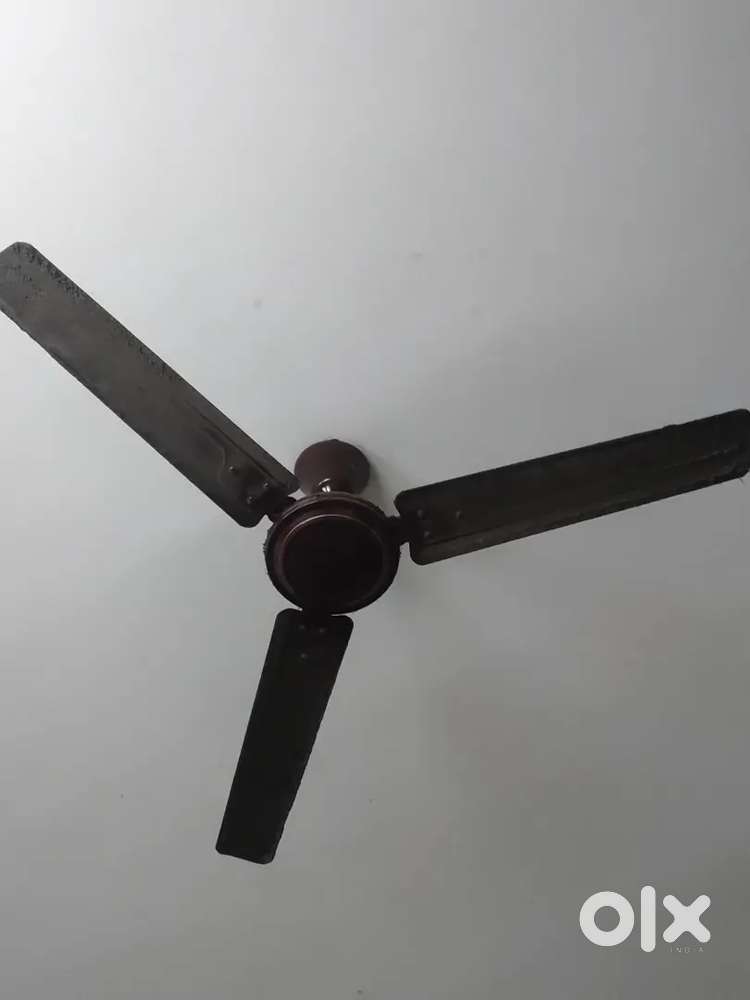 Ceiling fan 2 pieces 700 each