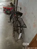 Action Bycycle