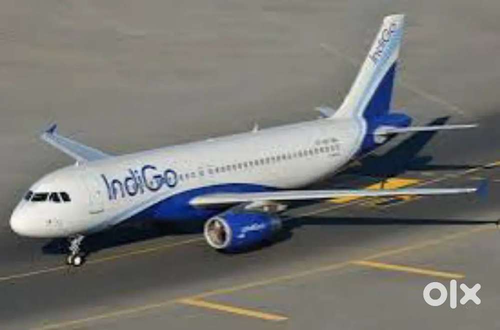 Full Time Jobs In Indigo Airlines Vacancy Available For Ground Staff