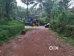 8.48 acres of land for sale near Mattannur town