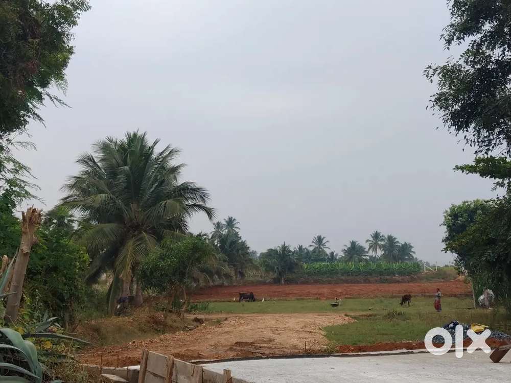 Super AGRICULTURAL land for sale in ANNUR