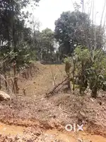 5 Acres land for sale @ Karuvanthode.