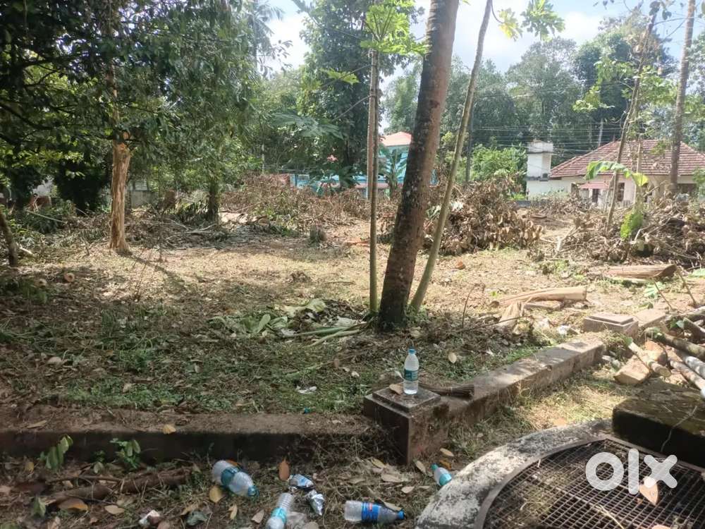 22 സെന്റ് സ്ഥലം 956286സെവൻ, സെവൻ, 52