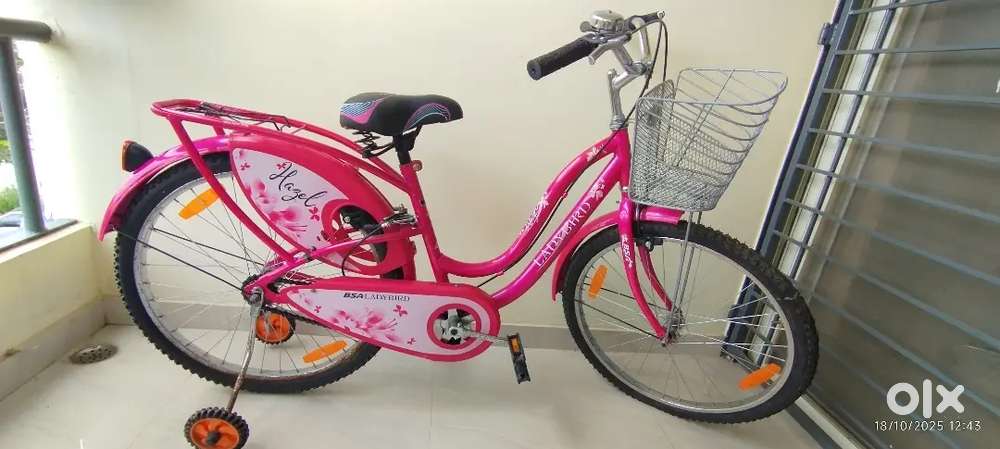 Lady Bird Hazel bicycle for sale