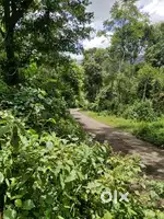 50 cent land for sale in Kattapana