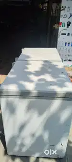 Blue Star Deep Freezer