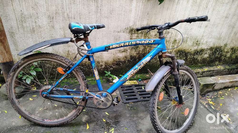 Sell TATA STRYDER Cycle