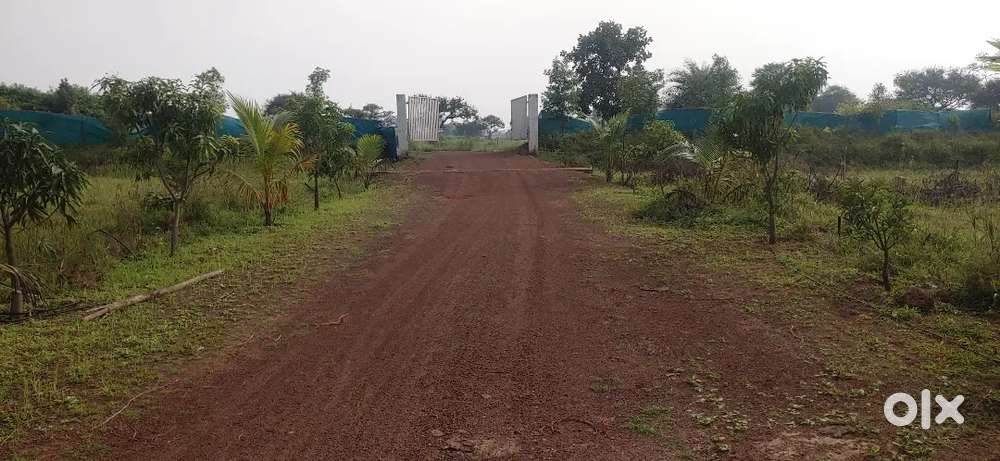 रेट=300/ कुम्हारी चरोदा से 4km की दूरी ग्राम=नादौरी में प्लॉट गोदाम