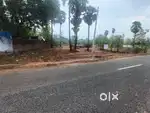 17 cent land