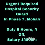 Hospital Security Guards Job Phase 7,Mohali