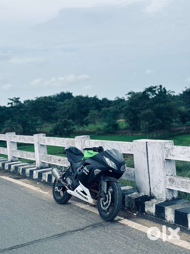Ninja 300 lime green black