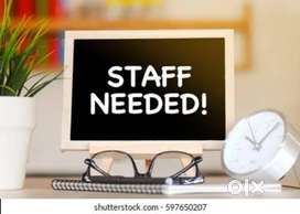 Office Staff wanted for Transport