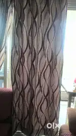 Curtains at 100/-