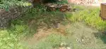 एक प्लॉट बेचना है 1064 स्क्वायर फीट का है