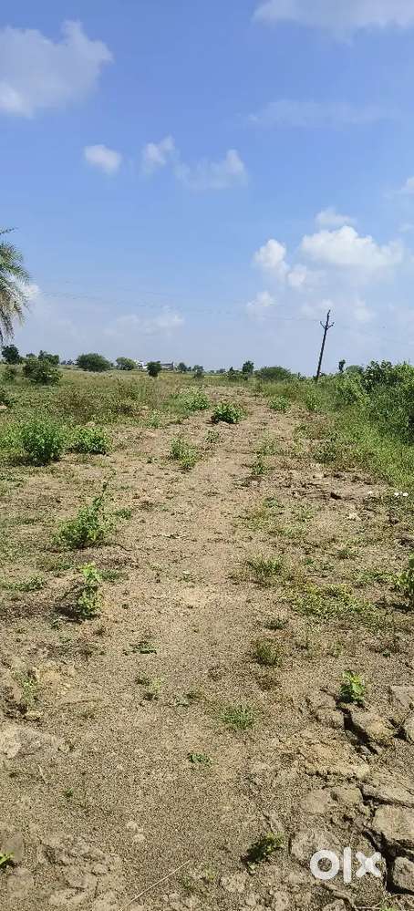 मात्र 333/- sqft अयोध्या नगर से मात्र 4 Km पर फार्म लैंड बेचना है