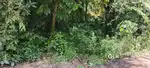 17 cents land for sale