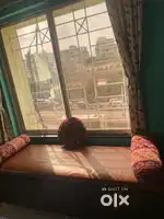 Single diwan with bed