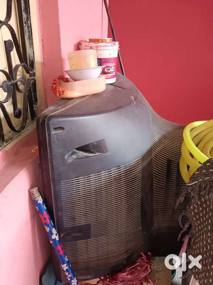 Television