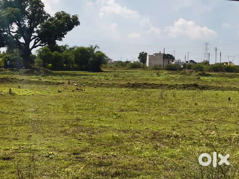 900 square feet Plot for sale near kurud Basti