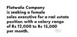 Sales Executive