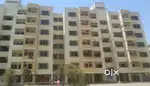 Flat for sale kachna housing board