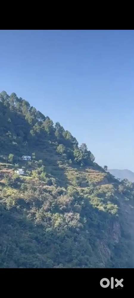 4 बीघा रोड-साइड कृषि भूमि बिक्री के लिए – Satpuli, Uttarakhand