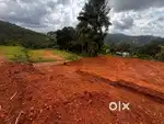 1.5 acre house plot