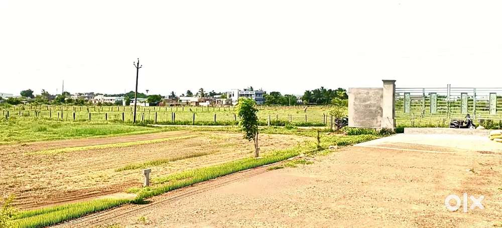 Best Investment విజయవాడ City కి దగ్గర ఇళ్ళకు ఆనుకొని Plots for Sale