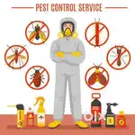 Termitech pest control