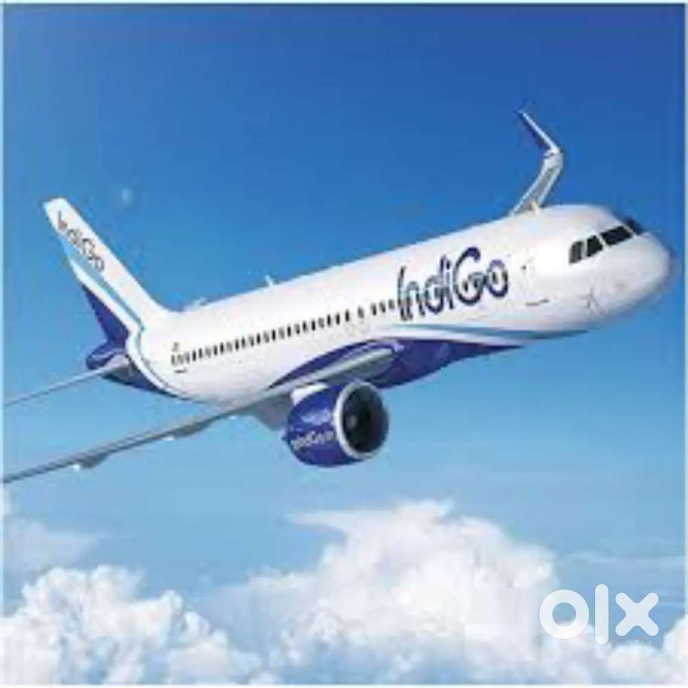 Cabin Crew/Airticket Counter,CSA Airport Ground Staff Jobs in Indigo