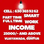 Part time or full time income