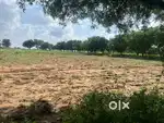 500 Guz farm house Government approved 90A Near Mahlan Ajmer road