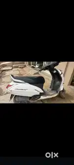 Showroom maintenance all document clear