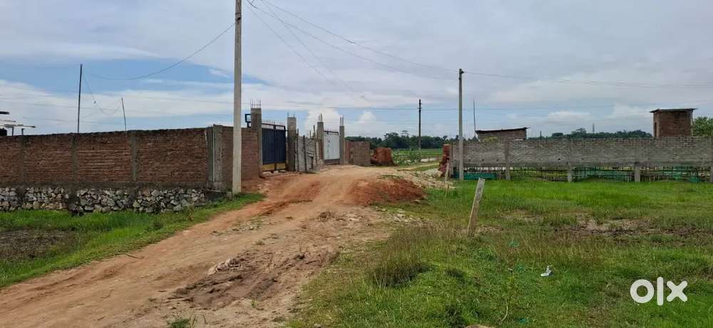 Selling property near bongora