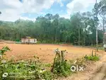 പത്തനാപുരം-പുന്നല, മാമൂട്ടിൽ