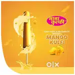 Kulfi Franchise