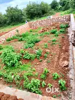 I want to sale my plot