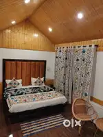 Looking Girl For Sharing Room