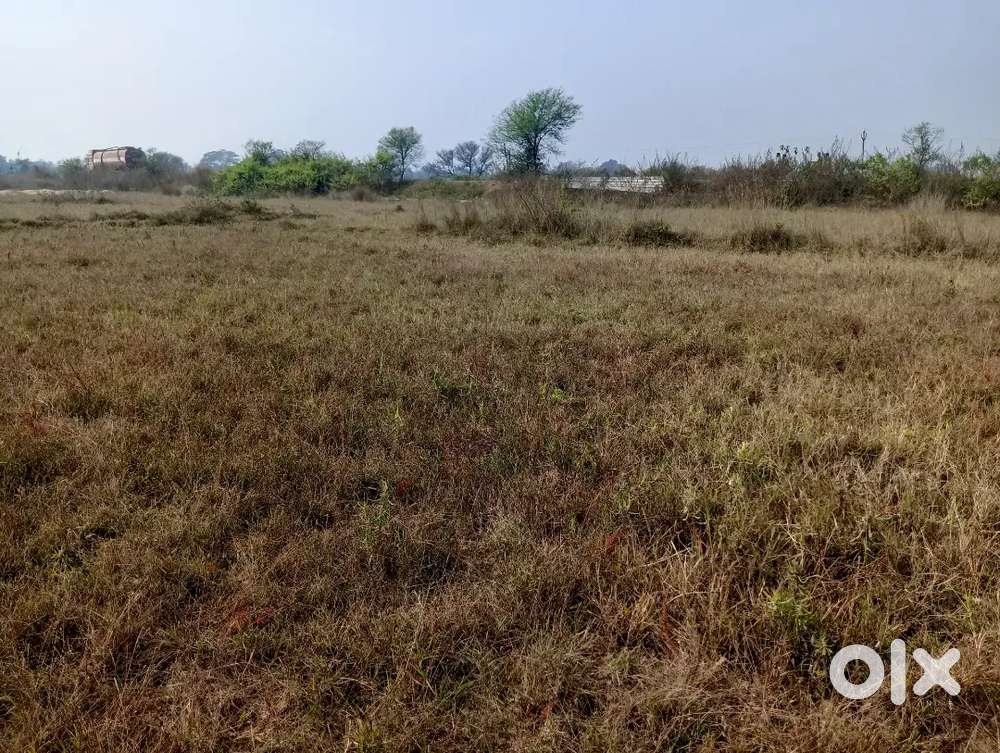 Near koncept public school