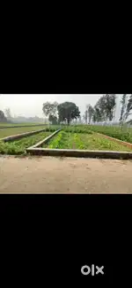Urgent sell krna he 30lakh price corner plot