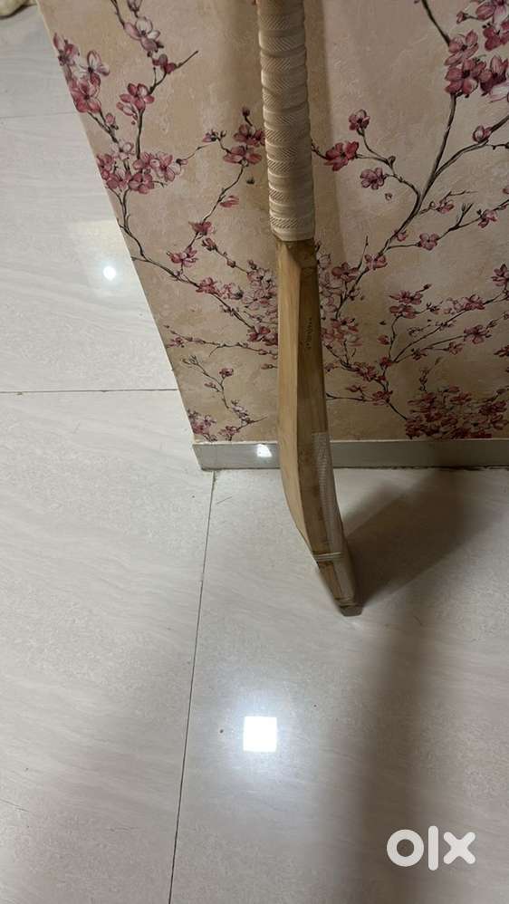 Best quality English willow bat