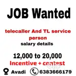 Telecaller and Team leader