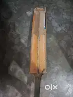 SS Cricket bat