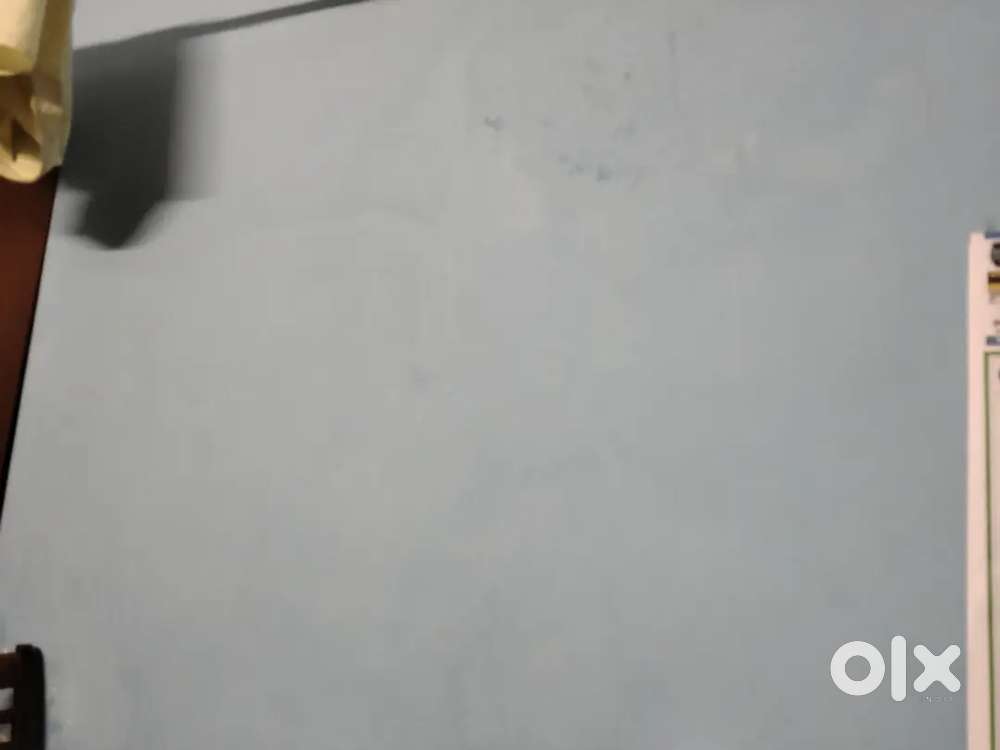 Need sales girl' for super market