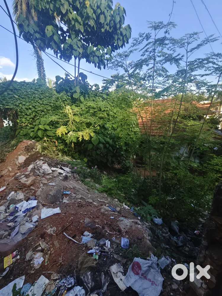 Plot sale near karamana