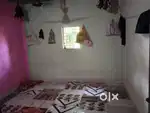 Single room only family