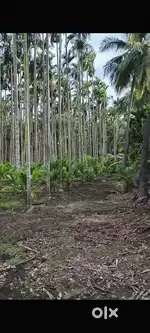 PLOT FOR SALE IN SALEM.